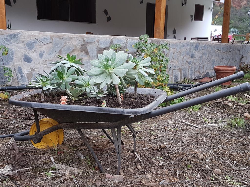 Casa Rural La Hoyita De Tunte San Bartolomé Exterior foto
