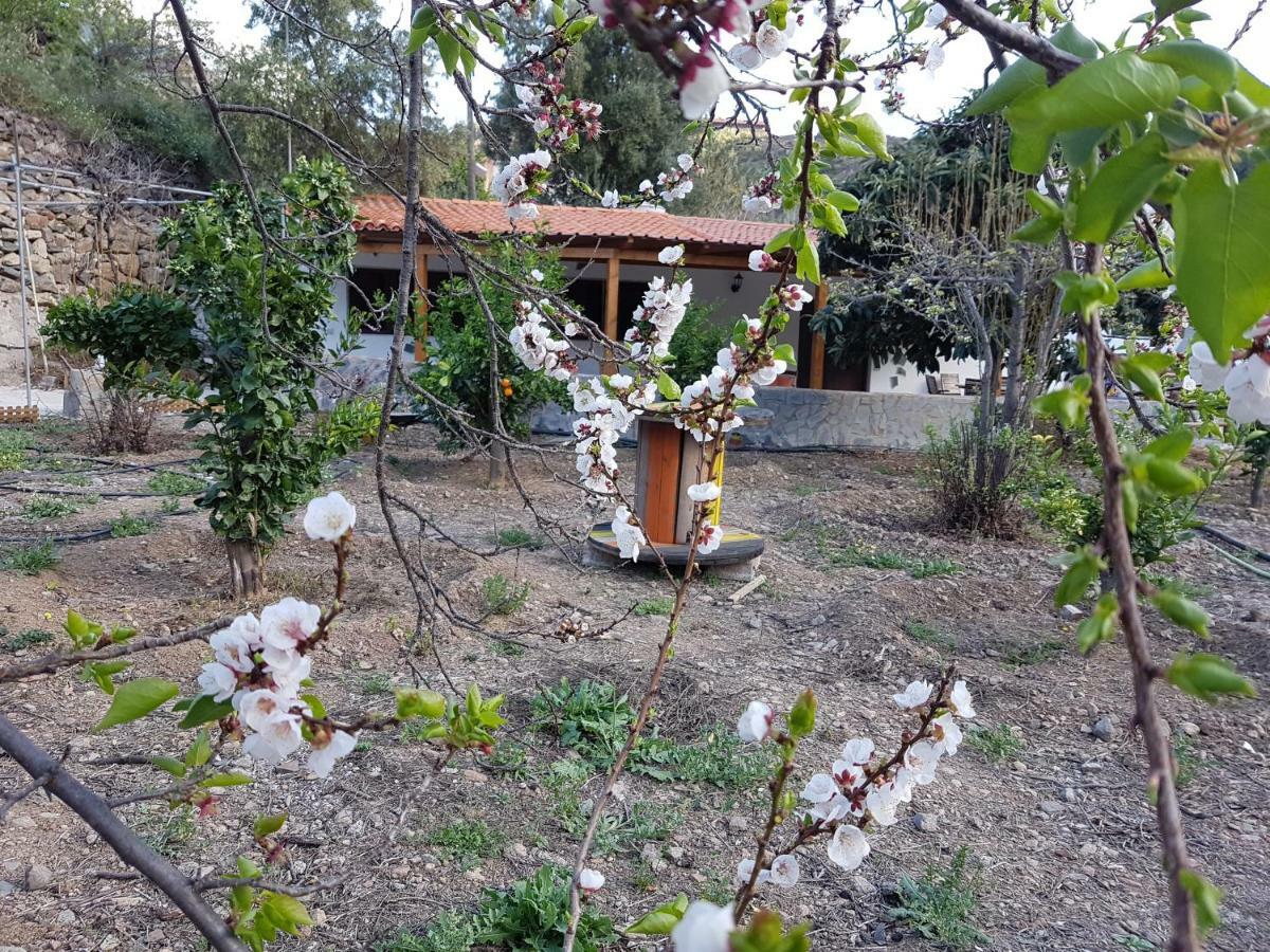 Casa Rural La Hoyita De Tunte San Bartolomé Exterior foto