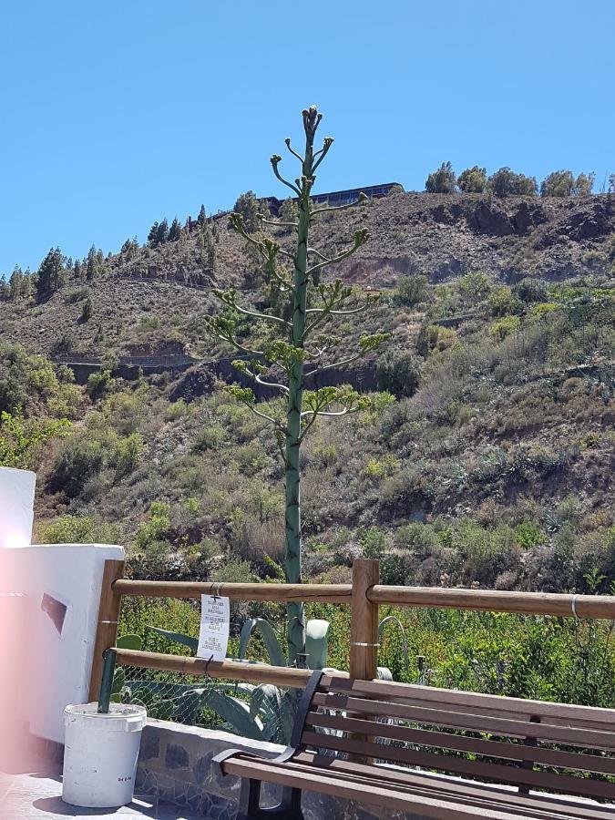 Casa Rural La Hoyita De Tunte San Bartolomé Exterior foto